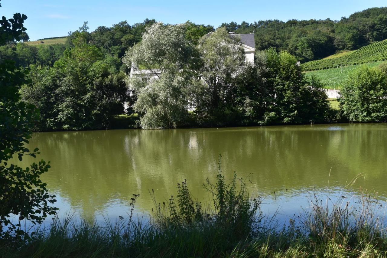 Chateau Roquehort Avec Ev Recharge Point 22Kw Monein Exteriér fotografie
